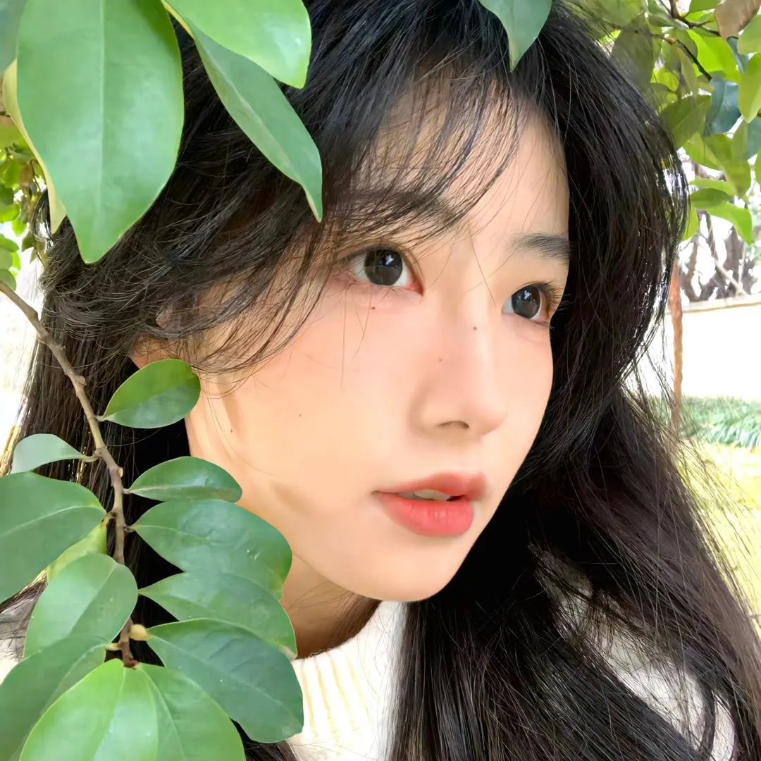 奔跑吧第六季