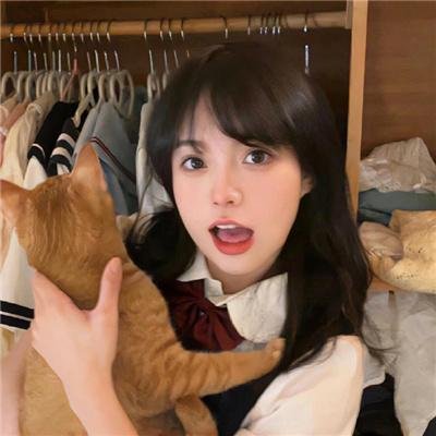 好猫咪咪